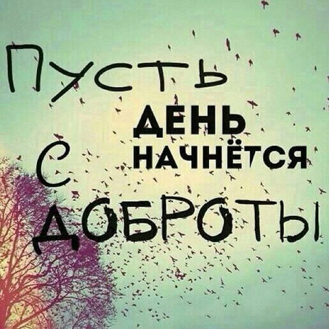 Влад Старовойт