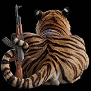 ЖопаТигра